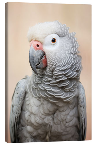 Canvastavla African Gray Parrot