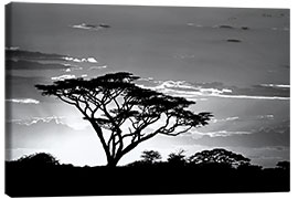 Quadro em tela Silhouette of an African tree I