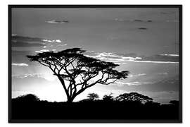 Gerahmter Kunstdruck Silhouette eines Afrikanischen Baums I