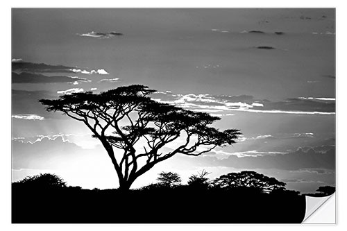 Sticker mural Silhouette of an African tree I