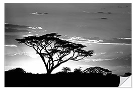 Sisustustarra Silhouette of an African tree I