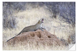 Selvklebende plakat Leopard yawning on a termite mound