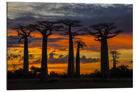 Magnettafel Allee der Baobabs bei Sonnenuntergang, Madagaskar