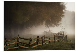 Magnettafel Die stille Umarmung der Natur
