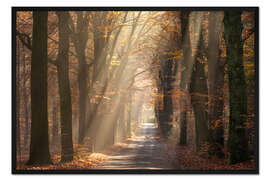 Gerahmter Kunstdruck Sonnenstrahlen scheinen durch Herbstblätter