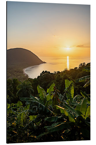 Aluminiumsbilde Plage de Grande Anse, Guadeloupe, Caribbean