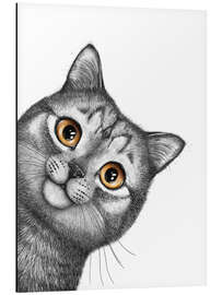 Aluminium print Gray cat