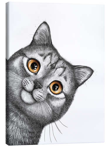 Canvas print Gray cat