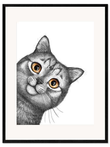 Framed art print Gray cat