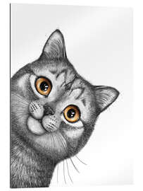 Gallery print Gray cat