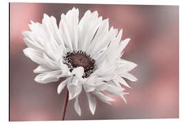 Magnettafel Mädchenauge