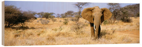 Hout print African Elephant, Somburu, Kenya