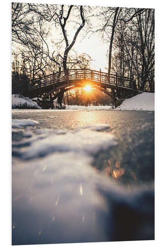 Bilde på skumplate Johannapark Wooden Bridge, Leipzig I