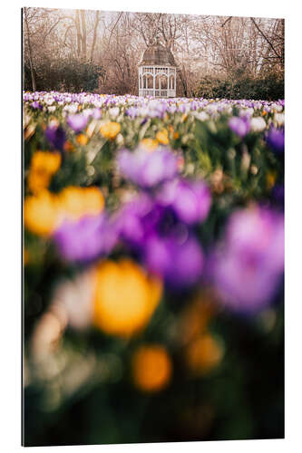 Galleriprint Spring in Johannapark, Leipzig