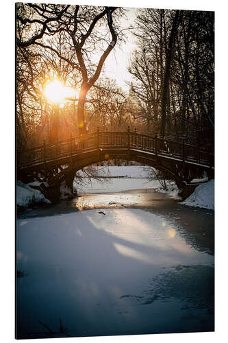 Alumiinitaulu Johannapark Wooden Bridge, Leipzig II