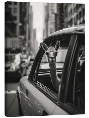 Canvas print Traveling llama in New York