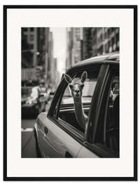 Gerahmter Kunstdruck Reisendes Lama in New York