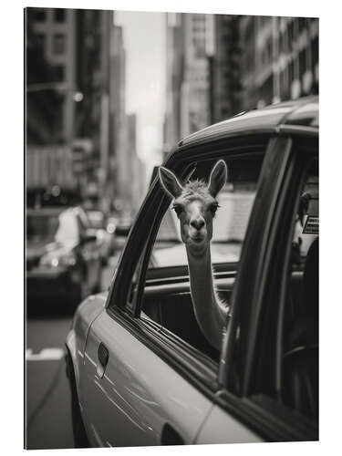 Galleriprint Traveling llama in New York