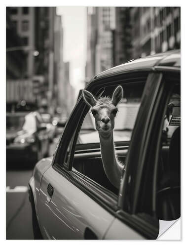 Sisustustarra Traveling llama in New York