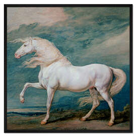 Gerahmter Kunstdruck Adonis, ein weißer Hengst