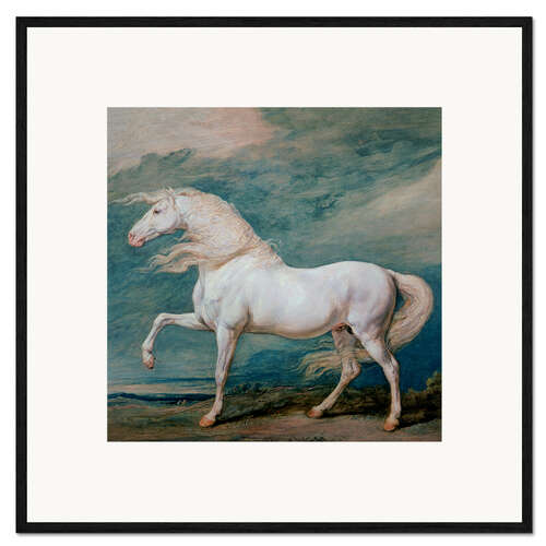 Framed art print Adonis, a white stallion