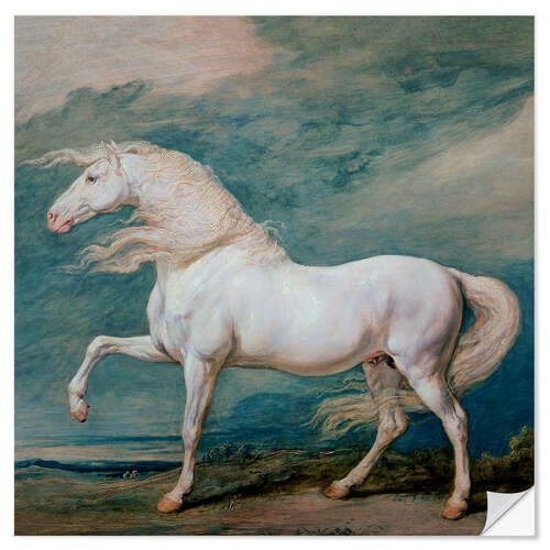 Sisustustarra Adonis, a white stallion