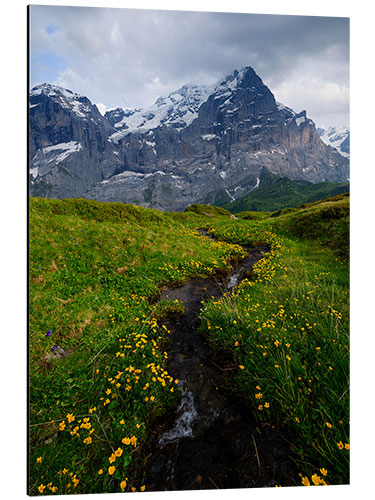 Cuadro de aluminio Small alpine creek with Wetterhorn in the background