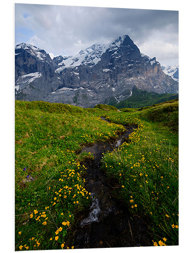 Foam board print Small alpine creek with Wetterhorn in the background