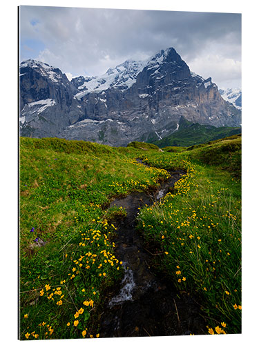 Gallery Print Kleiner Alpenbach mit Wetterhorngipfel im Hintergrund