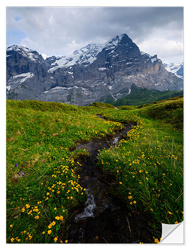 Sticker mural Small alpine creek with Wetterhorn in the background