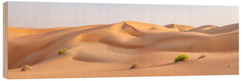 Wood print Dune landscape in the Rub al Chali desert, Abu Dhabi