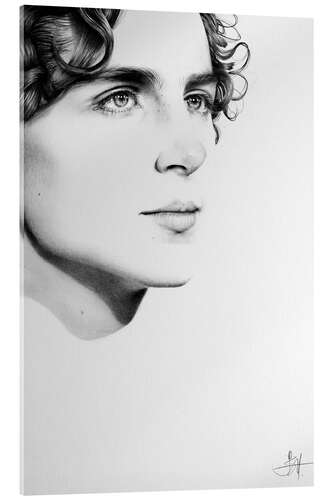 Acrylglasbild Timothee Chalamet