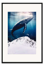 Gerahmter Kunstdruck Riesiger Blauwal über schneebedecktem Berg