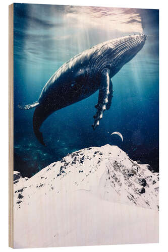 Wood print Giant blue whale over snowy mountain