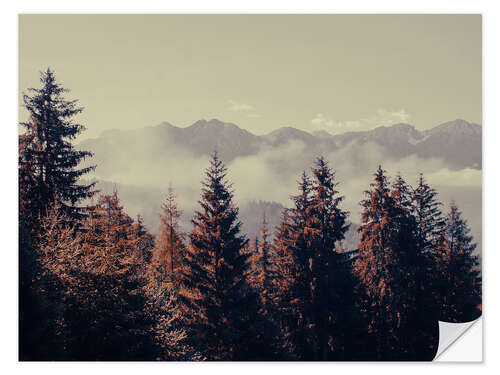 Sisustustarra Mountain Forest