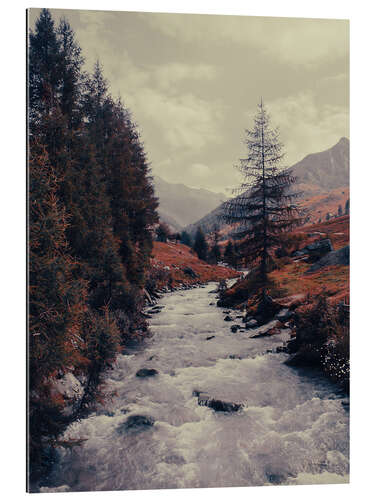 Galleritryk Mountain River