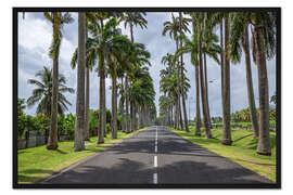 Gerahmter Kunstdruck Palmen Allee in der Karibik