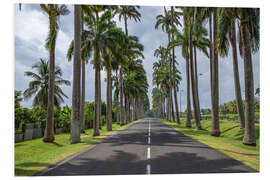 Tableau en PVC Palm tree avenue in the Caribbean