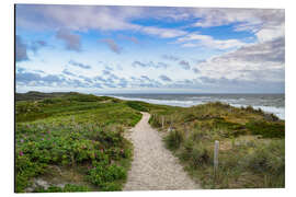 Aluminium print Dune path near Rantum on Sylt