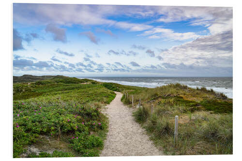 Foam board print Dune path near Rantum on Sylt