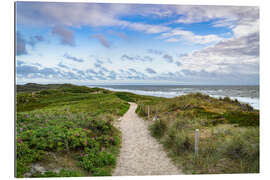 Gallery Print Dünenpfad bei Rantum auf Sylt