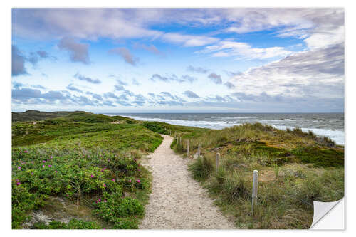 Naklejka na ścianę Dune path near Rantum on Sylt