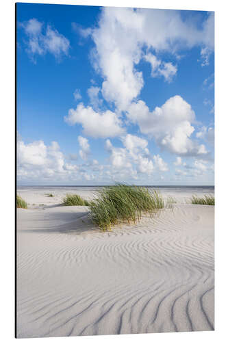 Alubild Dünenstrand im Sommer