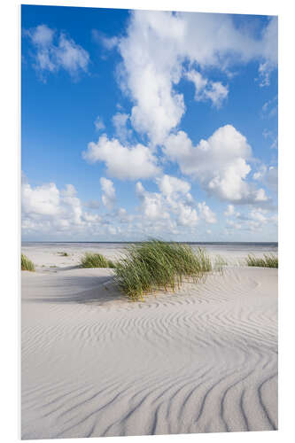 PVC print Dune beach in summer