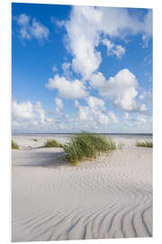 Foam board print Dune beach in summer