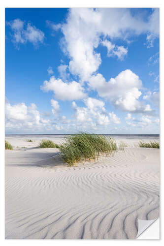 Naklejka na ścianę Dune beach in summer