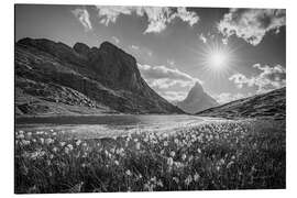 Alubild Riffelsee und Matterhorn