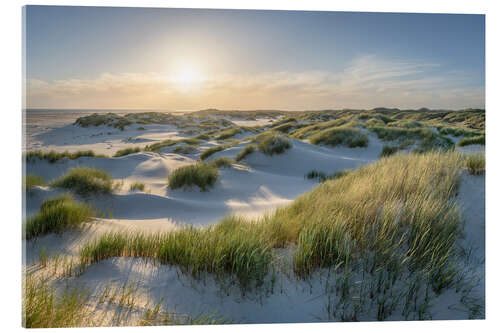 Acrylic print On the dune beach at sunset