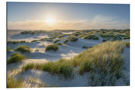 Aluminiumtavla On the dune beach at sunset