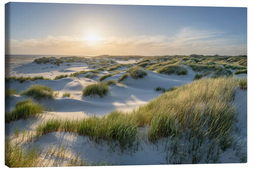 Quadro em tela On the dune beach at sunset